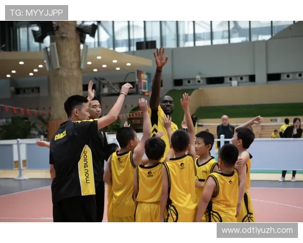 三升体育如何结合家庭与学校共同促进青少年的体育发展